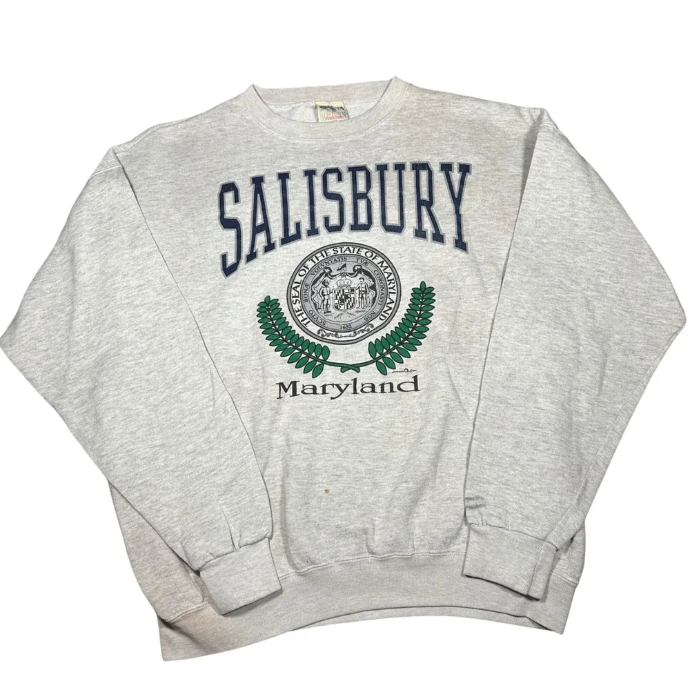 Vintage 1987 Salisbury Maryland Sweatshirt XL Gray My Town Originals Made in USA